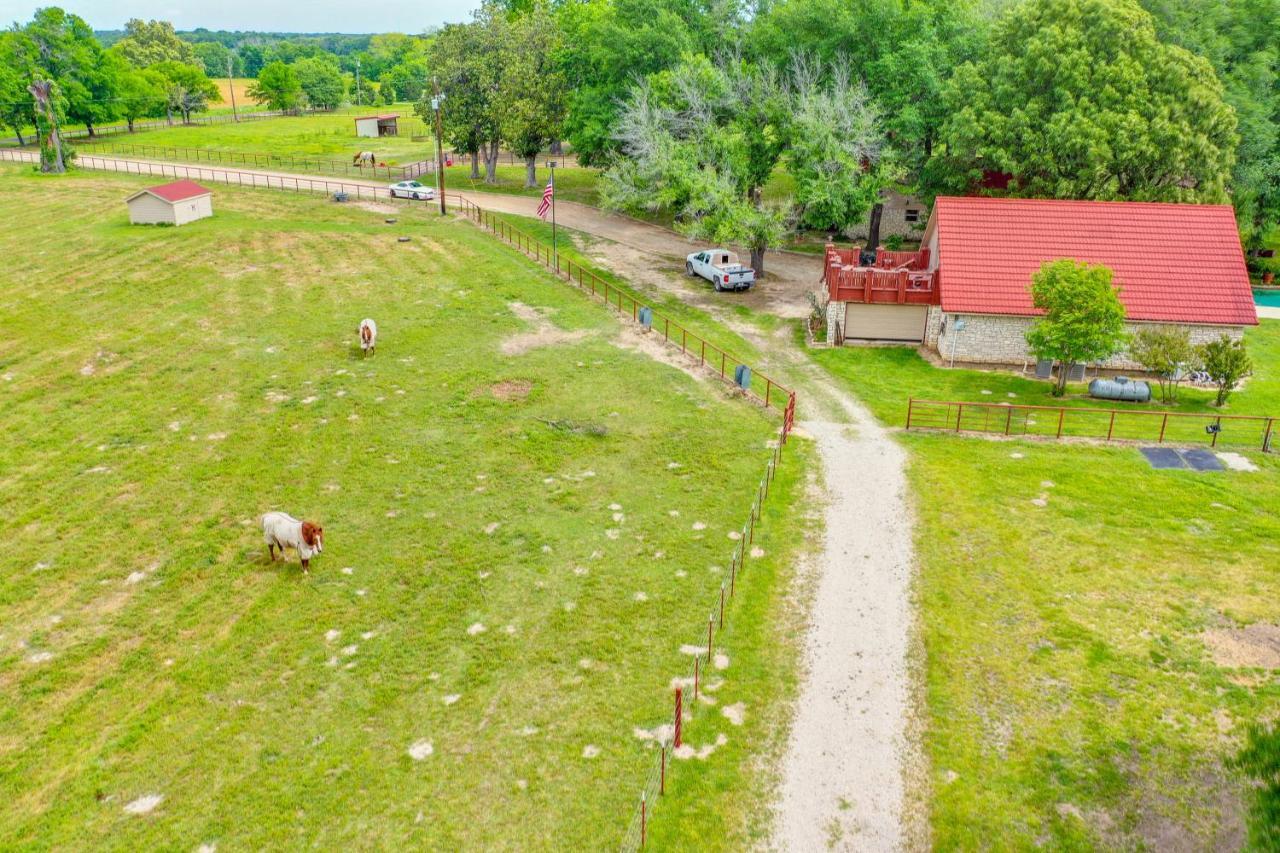 Dog-Friendly Wills Point Home With Grill On 10 Acres Canton Eksteriør bilde